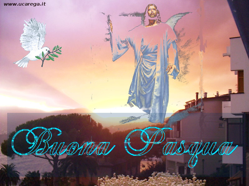 buonapasqua1